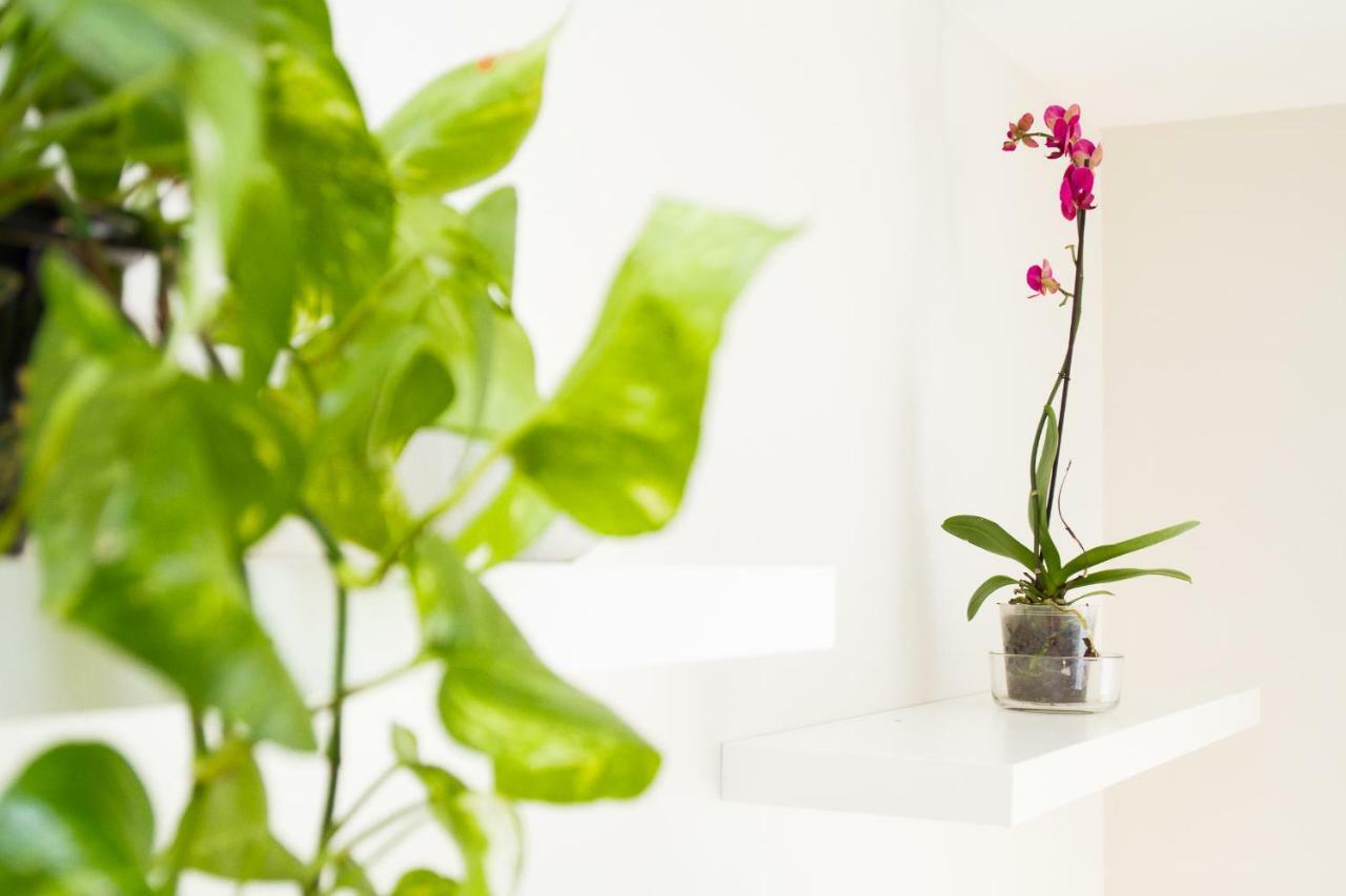 Charming Apartment In Pedregalejo 말라가 외부 사진